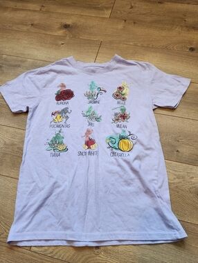 Women's Small Disney Princess tee